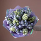 15 дельфиниумов
