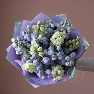 Дельфиниум в ассортименте