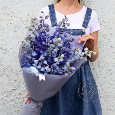 Дельфиниум в ассортименте