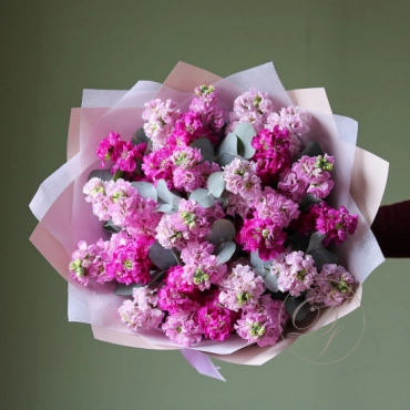 Маттиола с эвкалиптом в ассортименте