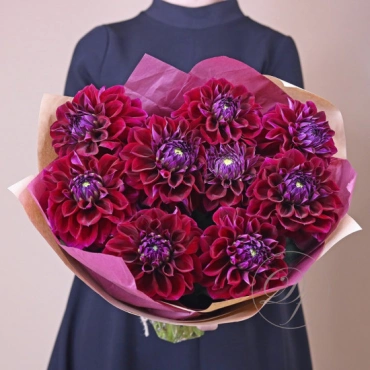 Георгины в ассортименте