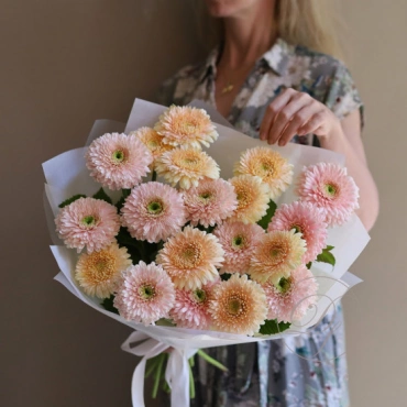 Махровые гермини в ассортименте