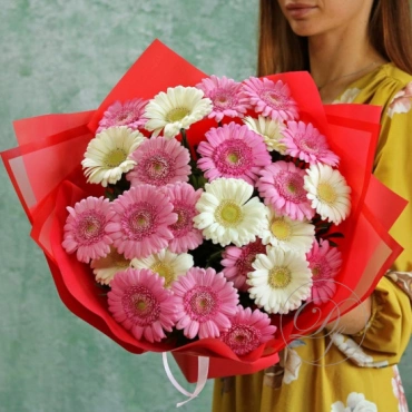 Гермини в ассортименте