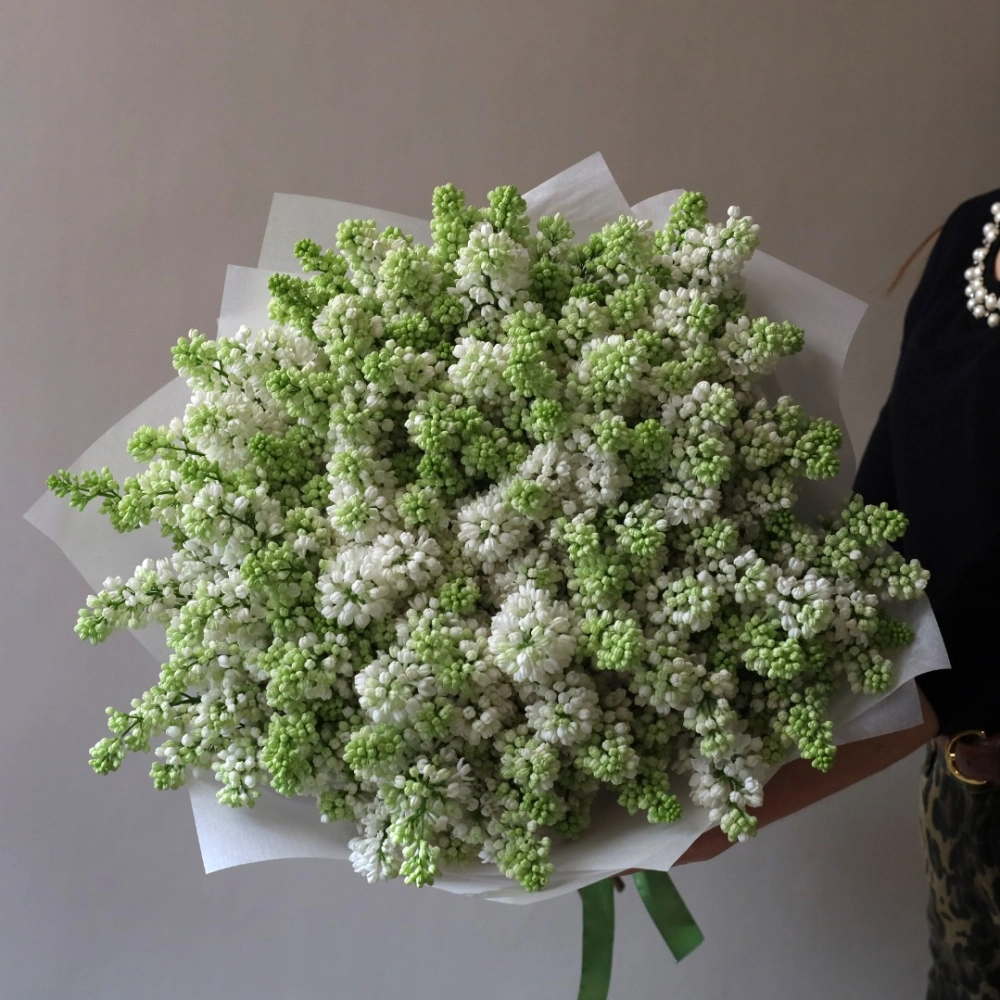 29 веток сирени