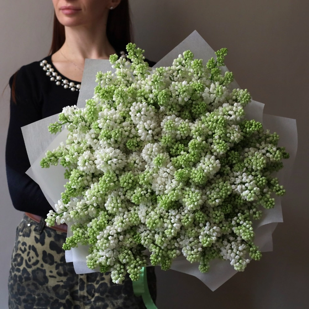 29 веток сирени