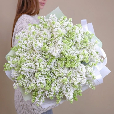 Сирень Голландская в ассортименте