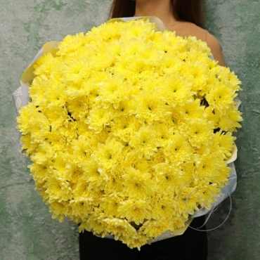 Кустовая хризантема в ассортименте