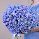 от 25 кустовых хризантем