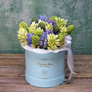 Гиацинты в коробке в ассортименте