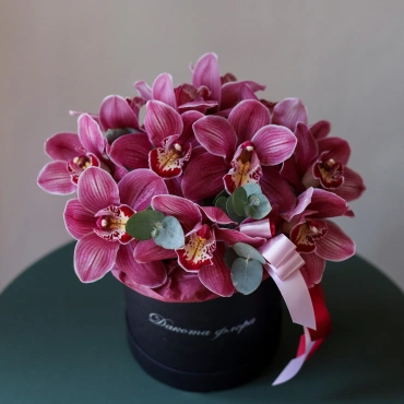 Орхидея цимбидиум в коробке в ассортименте