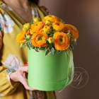 9 ранункулюсов