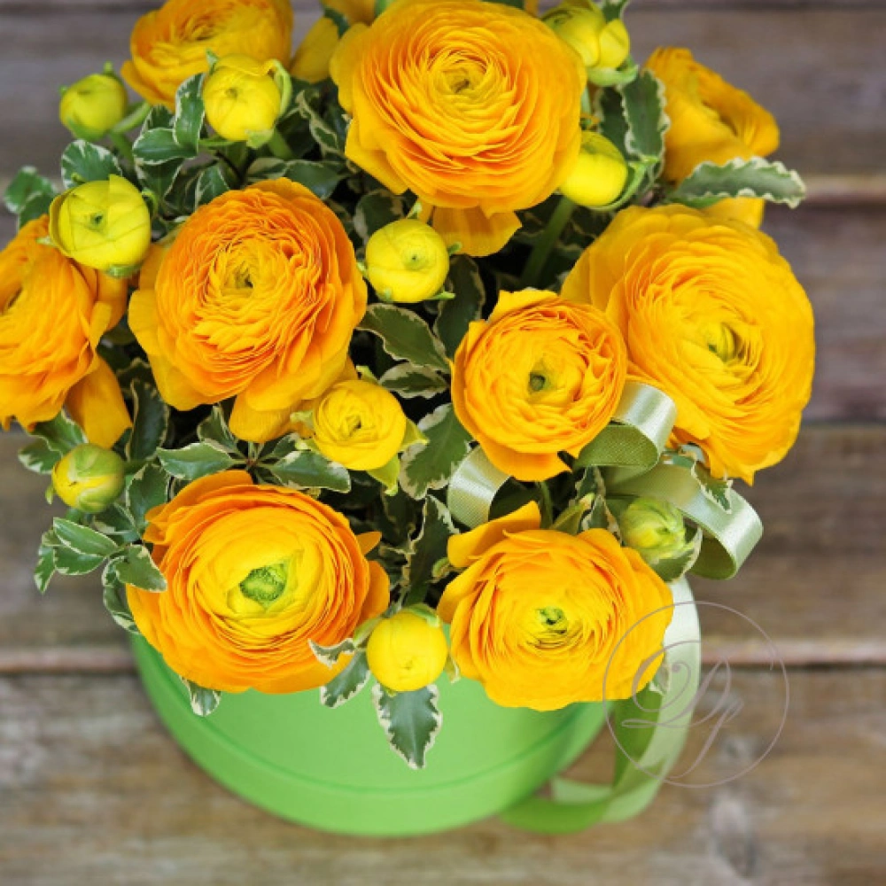 9 ранункулюсов