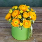 9 ранункулюсов