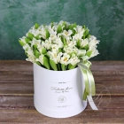 45 тюльпанов