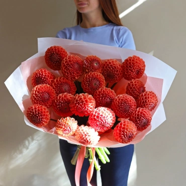 Оранжевые георгины букет