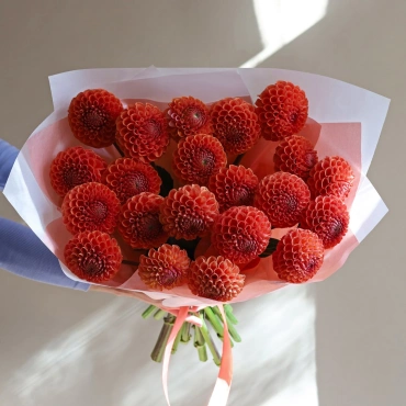 Оранжевые георгины букет