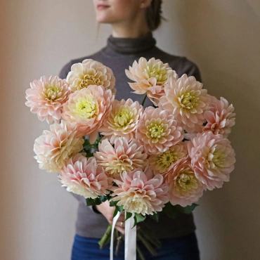 Букет нежных георгин