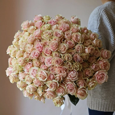 Эквадорская роза Пинк Мондиаль