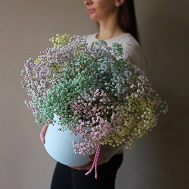 Разноцветная  гипсофила в коробке