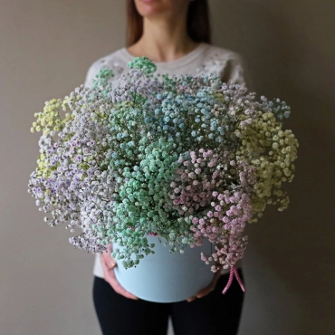 Разноцветная  гипсофила в коробке