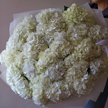 Большой букет из белой гортензии