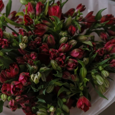 Букет альстромерии