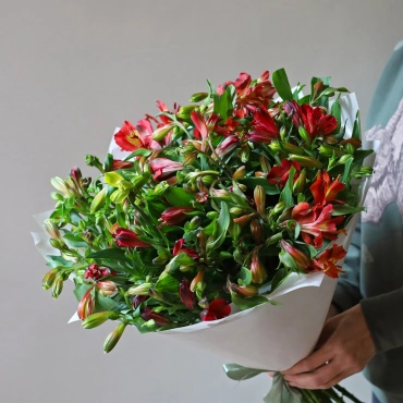 Букет альстромерии