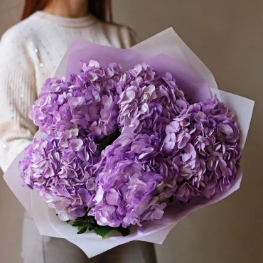 Фиолетовая гортензия