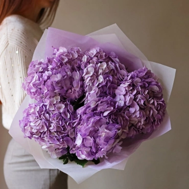 Фиолетовая гортензия