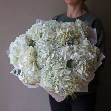 Букет из белой гортензии