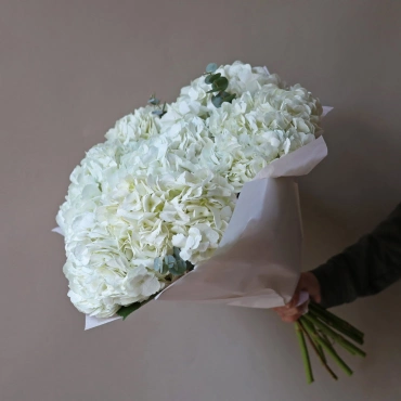 Букет из белой гортензии