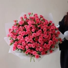 29 кустовых роз