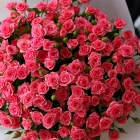 29 кустовых роз