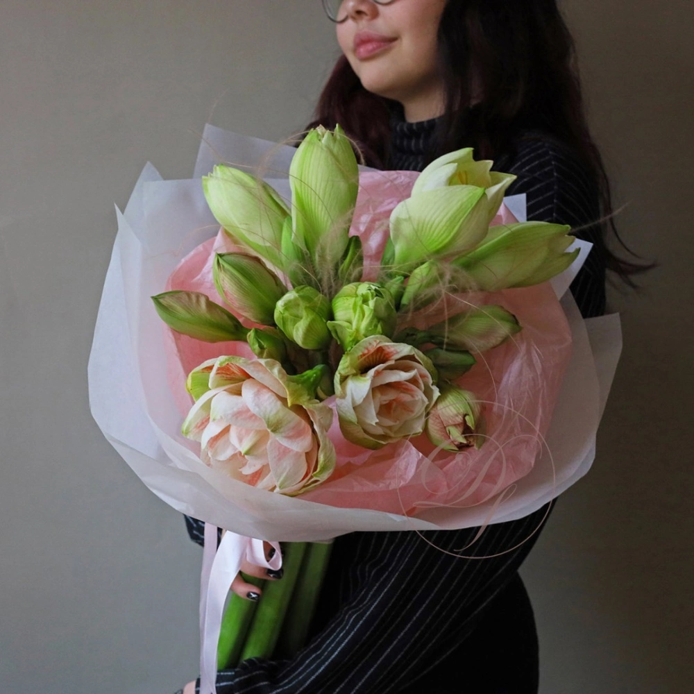 5 амариллисов