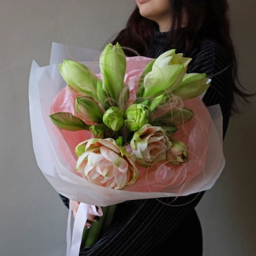 Амариллисы в ассортименте