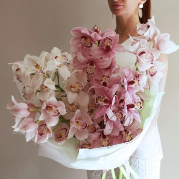 Орхидея в ассортименте