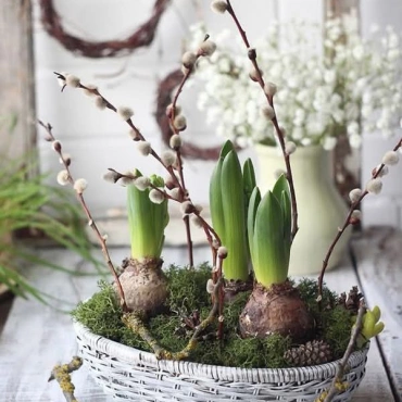 Весенняя композиция с луковичными в ассортименте