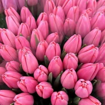 Корпоративный букет тюльпанов