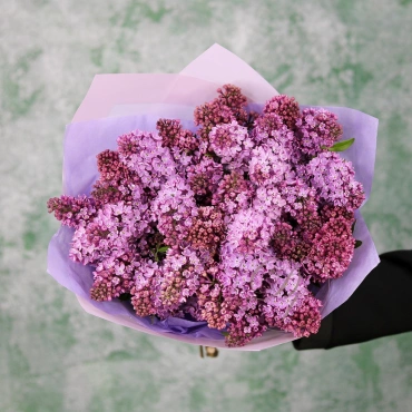 Сирень (сезонная) в ассортименте