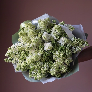 Сирень (сезонная) в ассортименте