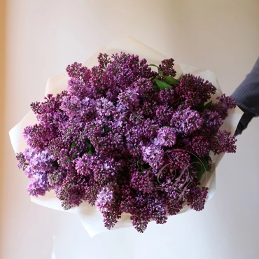 Сирень (сезонная) в ассортименте