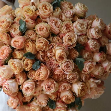 Большой букет роз Принцесса Краун