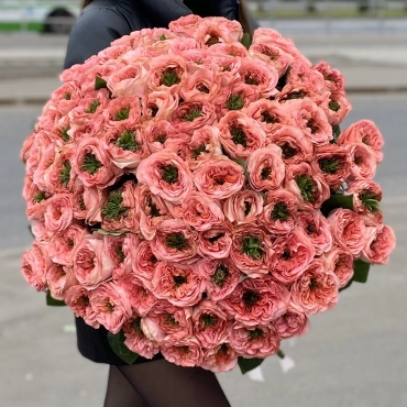 Роза Мандарин Экспрешн