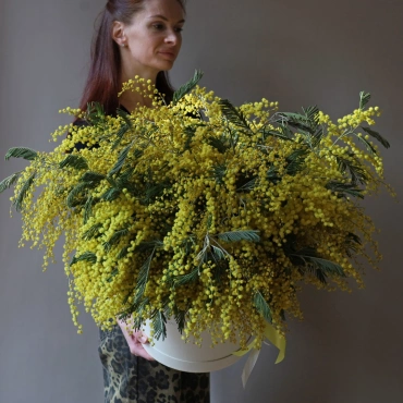 Большая коробка с мимозой