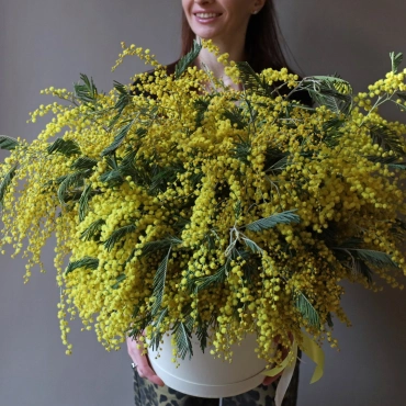 Большая коробка с мимозой