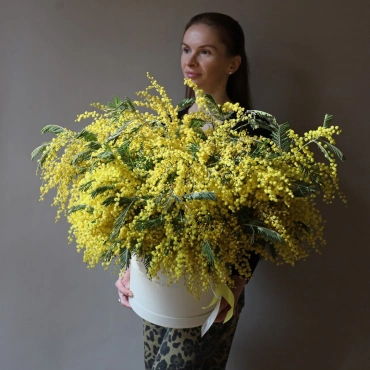 Большая коробка с мимозой
