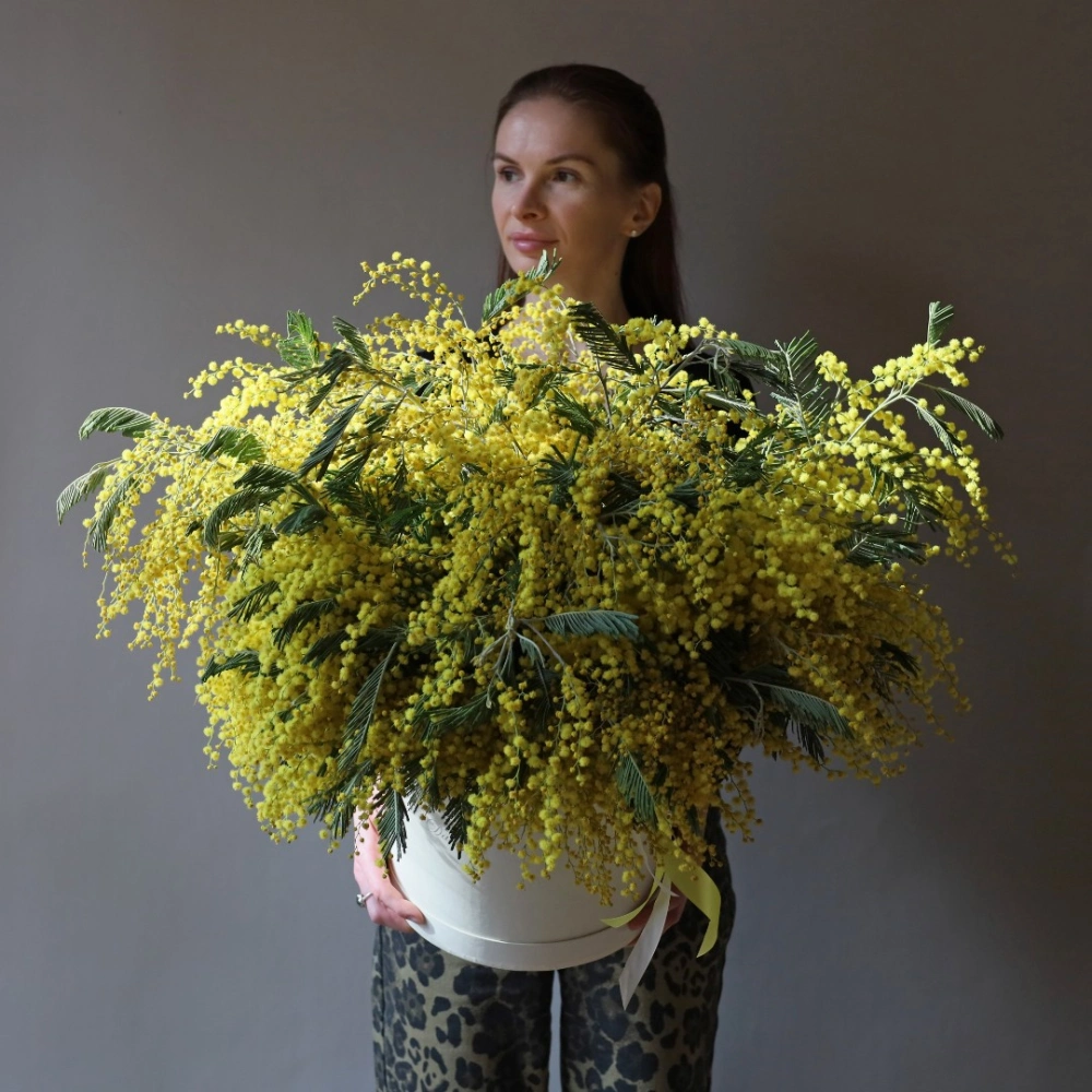 49 веток мимозы