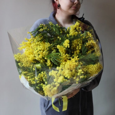 Пышный букет мимозы