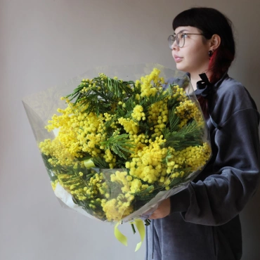 Пышный букет мимозы