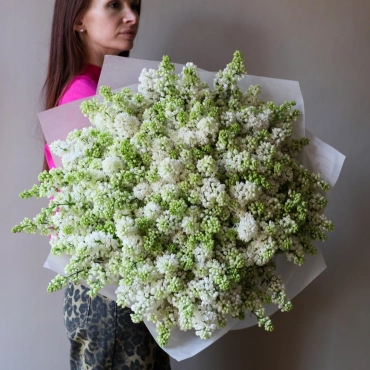 Большой букет белой сирени